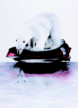 'Cola Bear' by Paul Kneen highlights the issue of climate change and global warming as well as pollution.